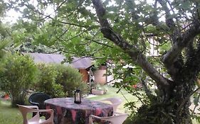 Gîte l'appel de la Forêt